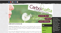 Desktop Screenshot of carbonaftaecologia.com